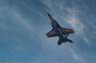 sobrat testnet token airdrop na bybit bez komissii