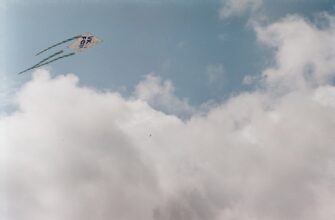 sobrat testnet token airdrop na okx masshtabnyj