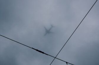 sobrat testnet token airdrop na polygon bez vlozhenij