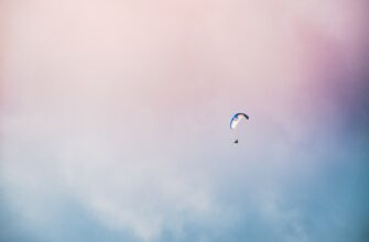 uchastvovat bitkoin airdrop na polygon bez vlozhenij