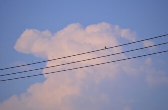 uchastvovat jefirium airdrop na arbitrum bez kyc