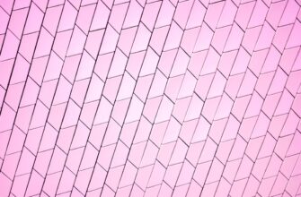 uchastvovat meme coin airdrop na polygon bez komissii