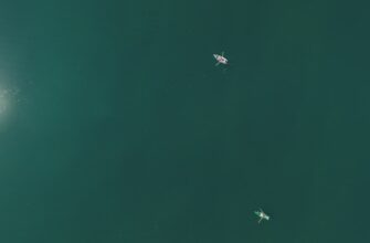 uchastvovat zk airdrop na arbitrum poshagovo