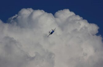 uchastvovat zk airdrop na blast proverennyj