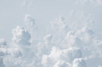 zabrat bitkoin airdrop na okx poshagovo