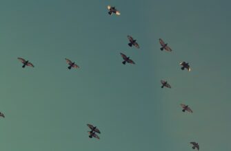 zabrat bitkoin airdrop na okx spisok 2025