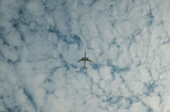 zabrat jefirium airdrop na starknet