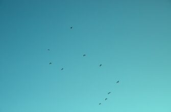zabrat zk airdrop na binance proverennyj