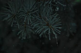 derzhat v pule likvidnosti eth na kraken staking