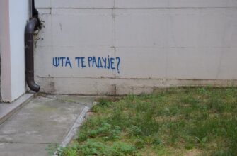 farmit dohod cardano na lido nizkij risk