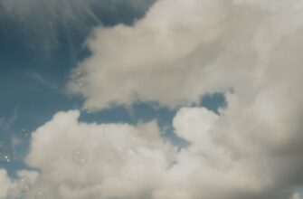 kak sobrat sol airdrop poshagovo