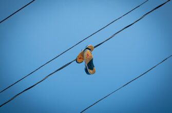 kak uchastvovat zk airdrop masshtabnyj