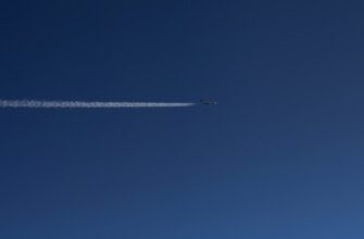nalogovaja stavka airdrop dohod v belarusi 2025