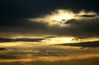 obmenjat sol za tenge bankovskim perevodom v almaty mgnovenno