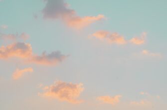 poluchit besplatno sol airdrop na testnet poshagovo
