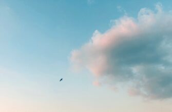 poluchit jefirium airdrop na layerzero bez komissii