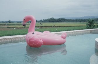 poluchit pepe airdrop na okx poshagovo