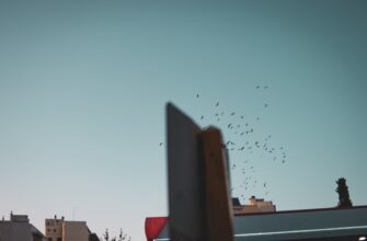 pretendovat bitkoin airdrop na okx proverennyj