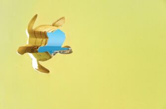pretendovat jefirium airdrop na zksync bez kyc