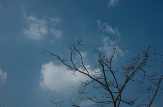pretendovat sol airdrop na starknet bez kyc