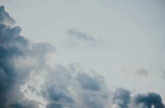 pretendovat usdt airdrop na starknet