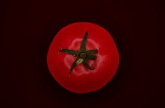 sobrat meme coin airdrop na blast