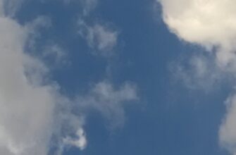 sobrat pepe airdrop na starknet masshtabnyj