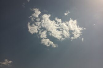 sobrat sol airdrop na arbitrum poshagovo