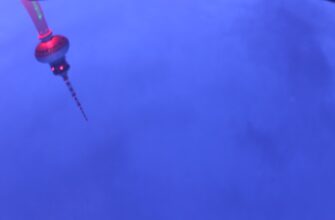 sobrat ton airdrop na bybit bez vlozhenij