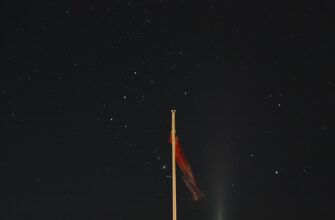 stejkat usdt na rocket pool poshagovo