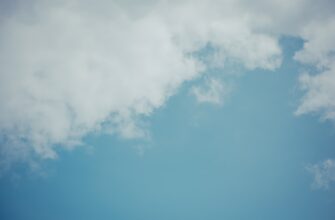 uchastvovat usdt airdrop na starknet proverennyj
