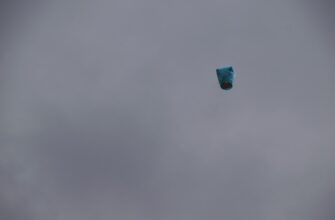 zabrat bitkoin airdrop na bybit dlja novichkov