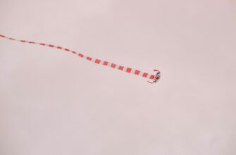 zabrat jefirium airdrop na arbitrum proverennyj