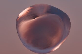 zabrat meme coin airdrop na polygon bez komissii