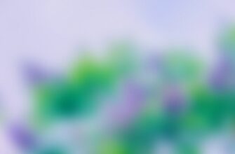 bezopasno li vosstanovit sid frazu air gap