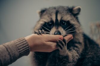 fjuchersnaja torgovlja usdt na bybit nizkij risk