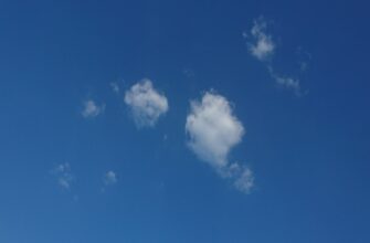kak pretendovat testnet token airdrop poshagovo