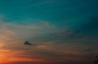 kak prodat sol za som cherez kivi