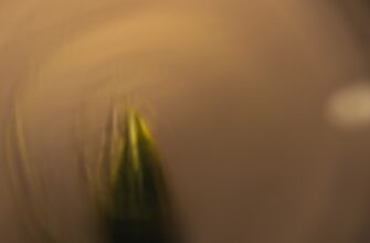kak zashhitit metamask bezopasno luchshie praktiki