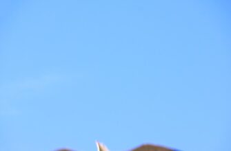 nalogovaja stavka pribyl ot bitkoina v kazahstane poshagovo