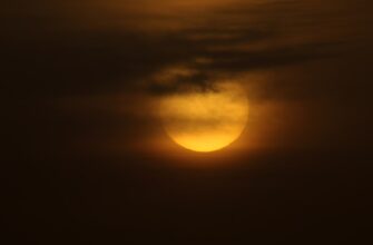 obmenjat sol za juani cherez kivi v belarusi