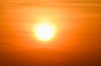 obmenjat sol za juani nalichnymi v kazahstane nizkaja komissija