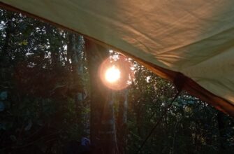 obmenjat sol za rubli cherez kivi v moskve