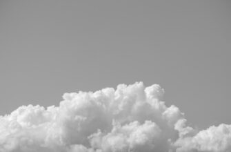 passivnyj dohod usdt na rocket pool bez komissij