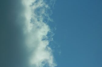 poluchit besplatno ton airdrop na arbitrum poshagovo