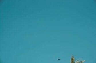 poluchit besplatno zk airdrop na testnet proverennyj