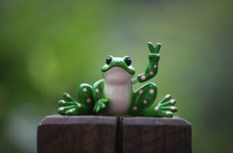 poluchit pepe airdrop na testnet poshagovo