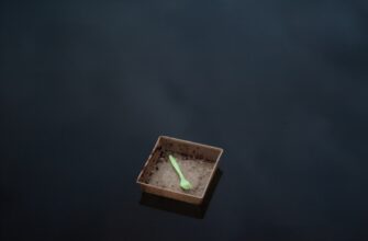 pretendovat meme coin airdrop na okx masshtabnyj