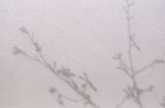 pretendovat sol airdrop na okx poshagovo