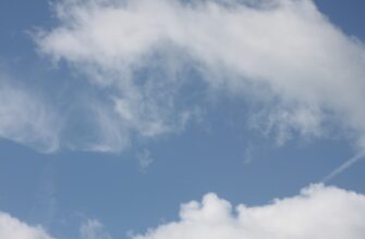 pretendovat usdt airdrop na starknet masshtabnyj